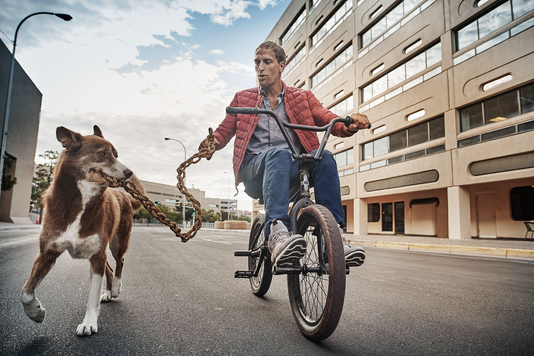 aki_on_bike_with_dog_timberland